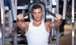 Etiam commodo convallis