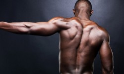 4 Weeks To Maximum Muscle